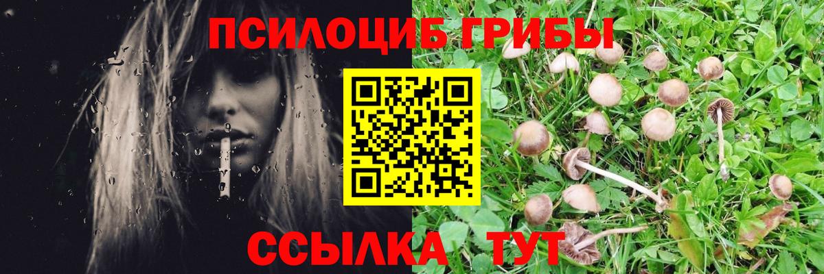 Галлюциногенные грибы мухоморы  Вход с VPN  Славгород 